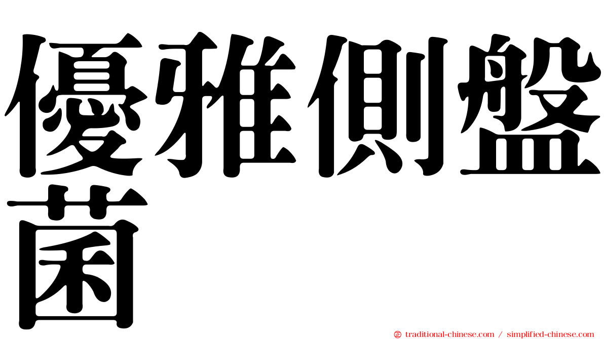 優雅側盤菌