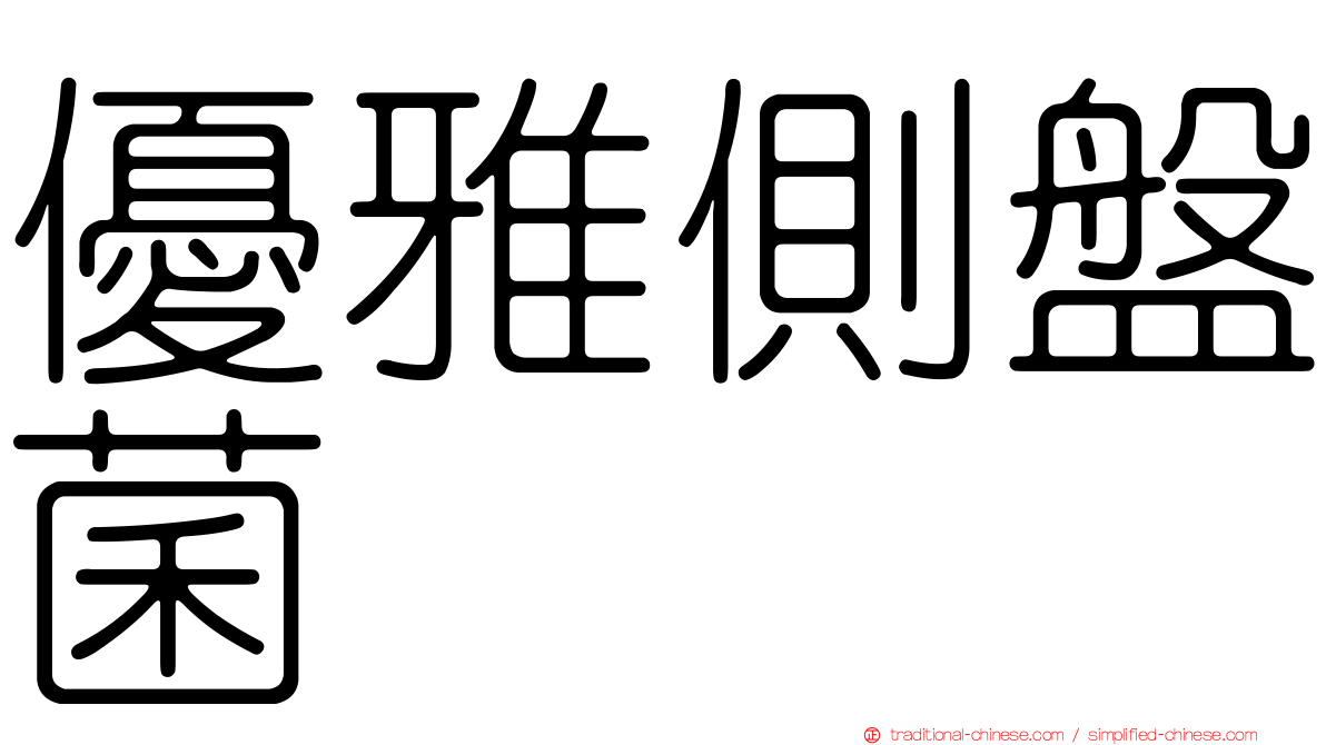 優雅側盤菌