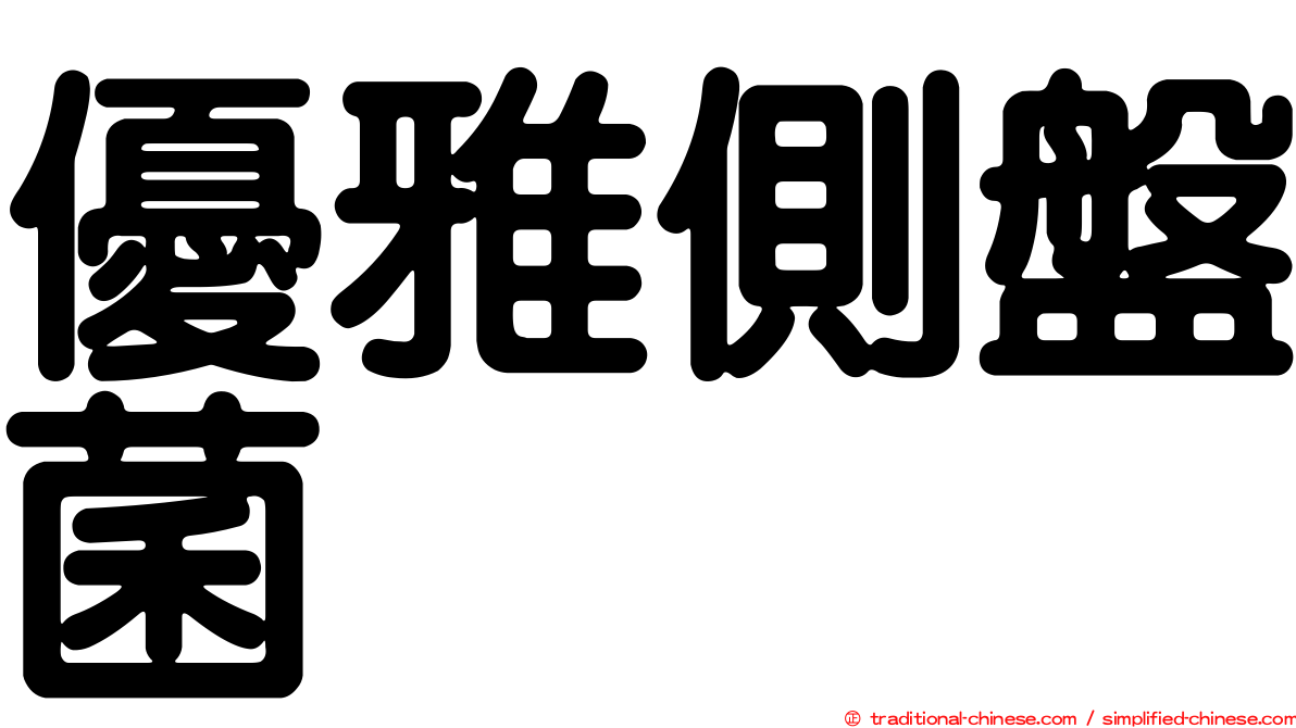 優雅側盤菌