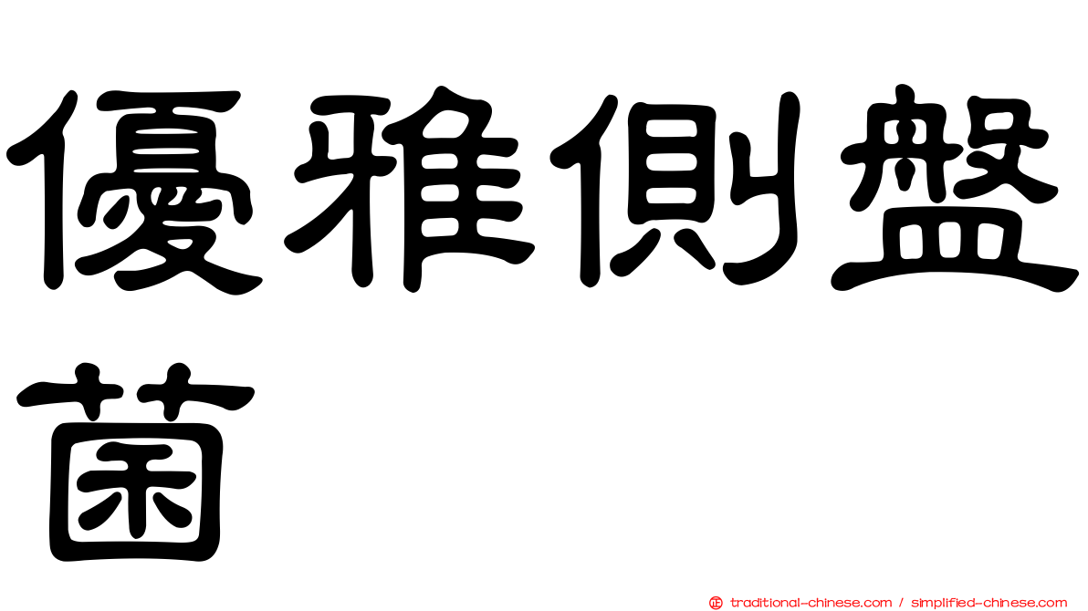 優雅側盤菌