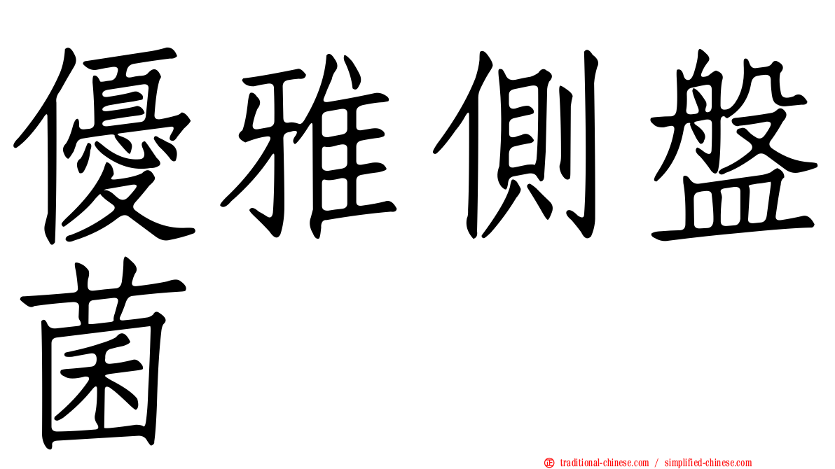優雅側盤菌