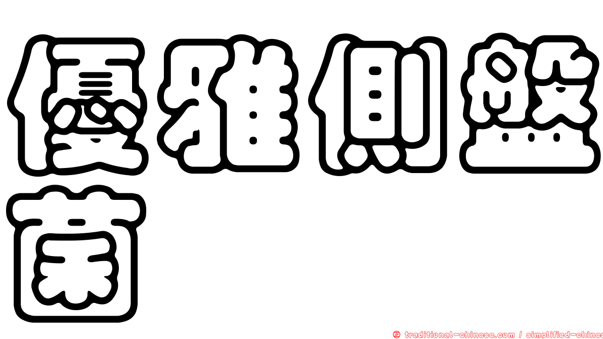 優雅側盤菌