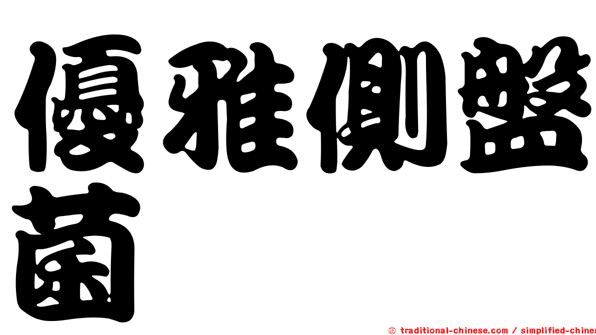 優雅側盤菌