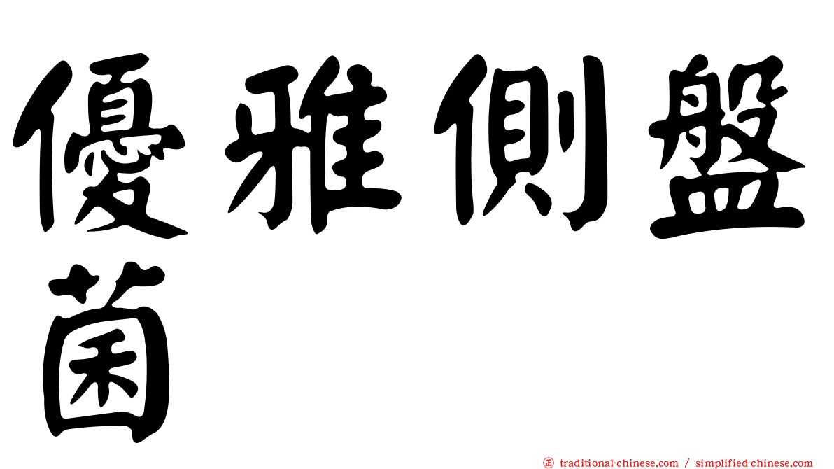 優雅側盤菌
