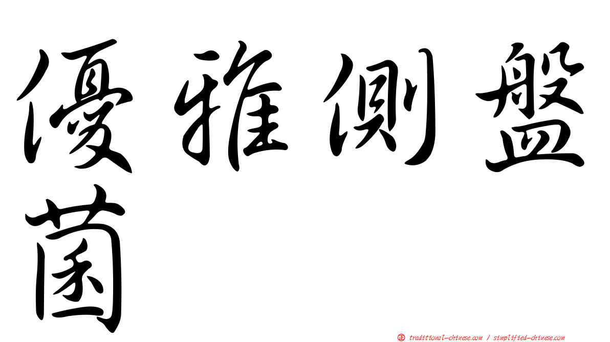 優雅側盤菌