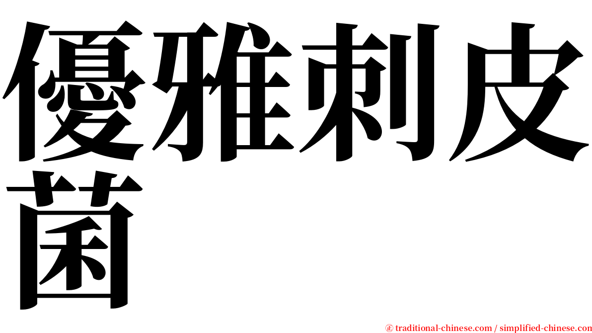 優雅刺皮菌 serif font