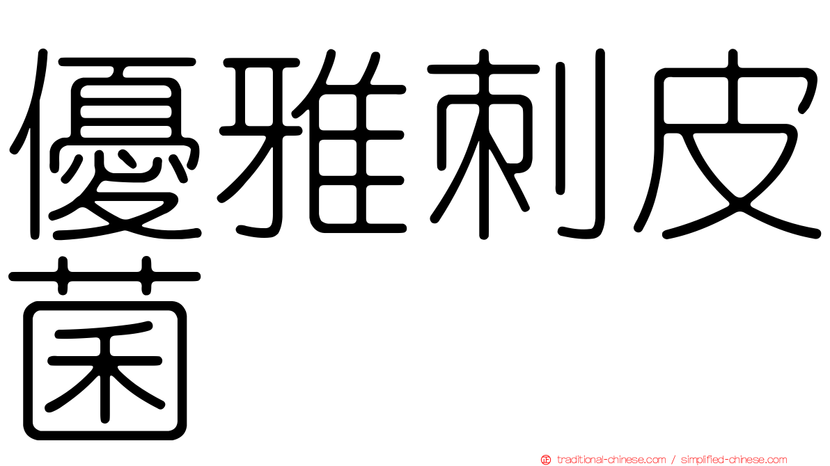優雅刺皮菌