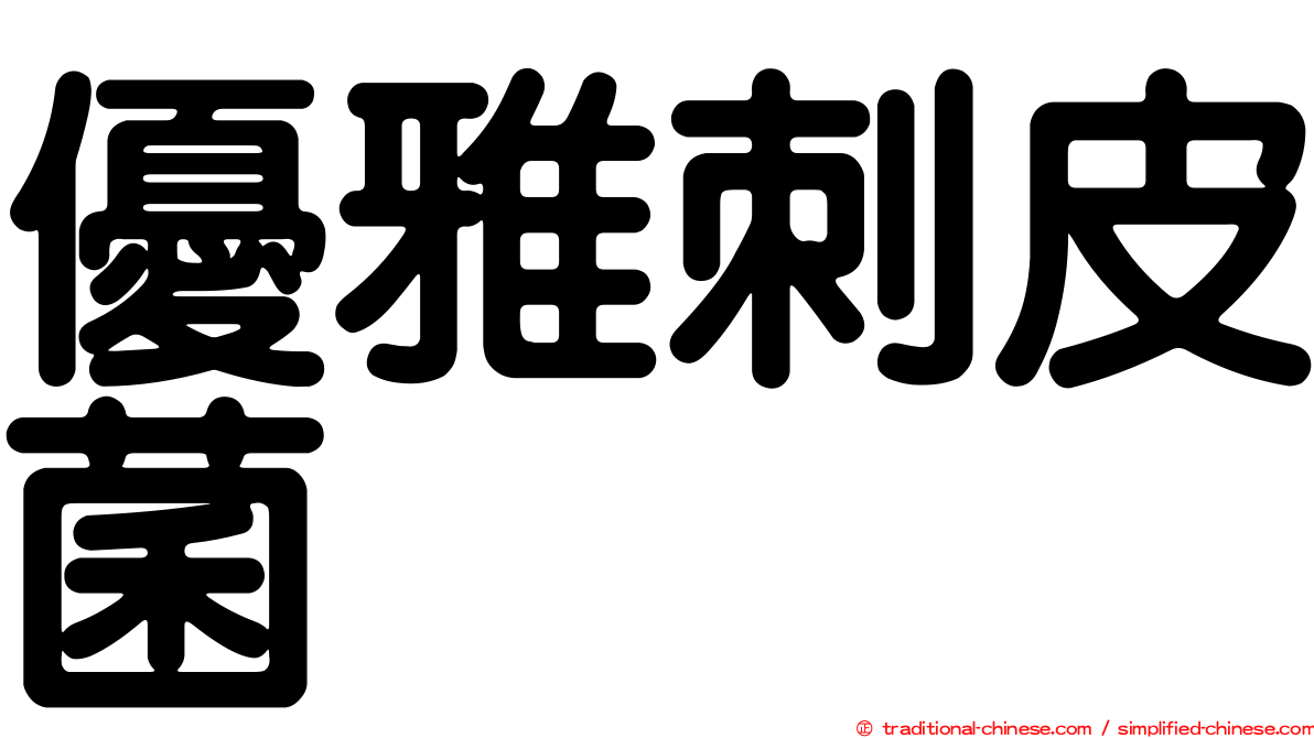 優雅刺皮菌