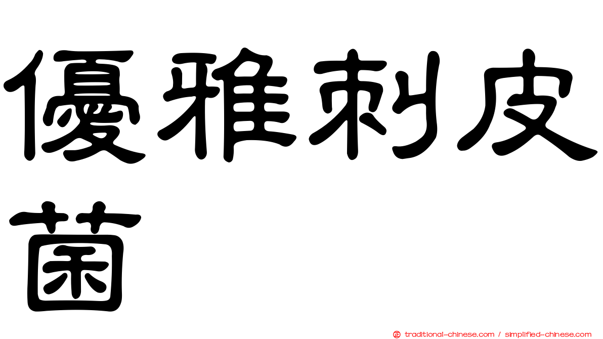 優雅刺皮菌