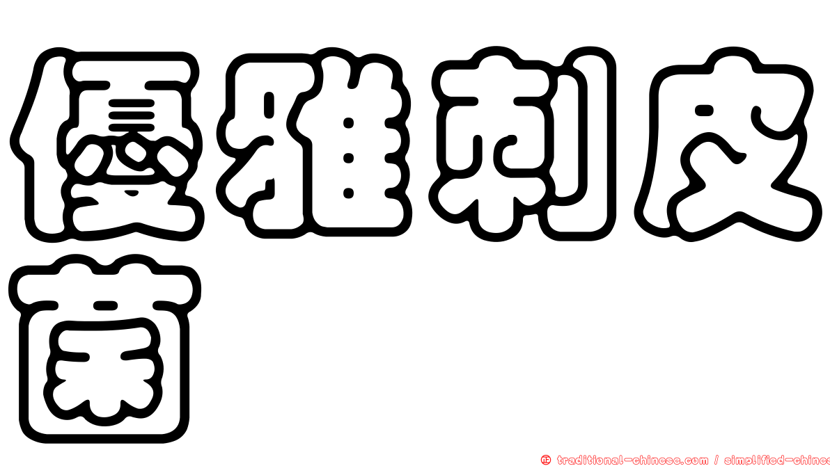 優雅刺皮菌