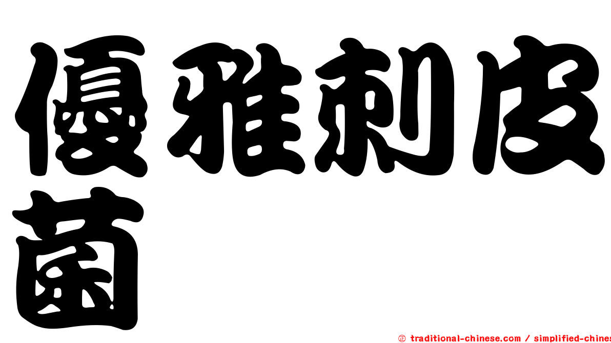優雅刺皮菌