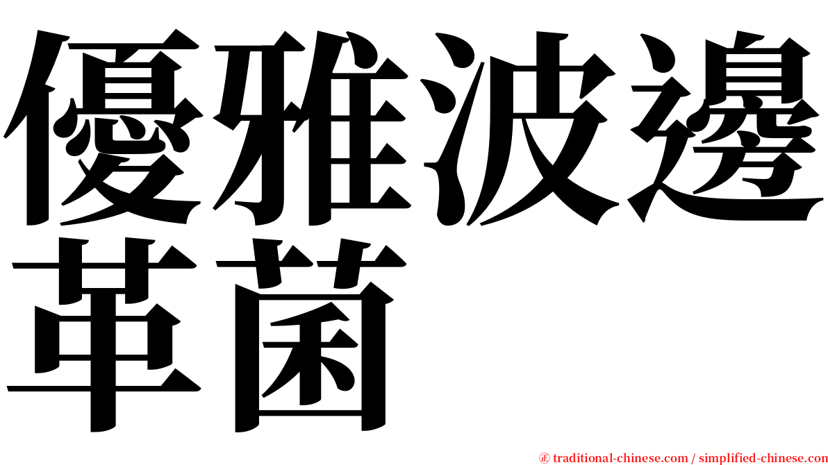 優雅波邊革菌 serif font