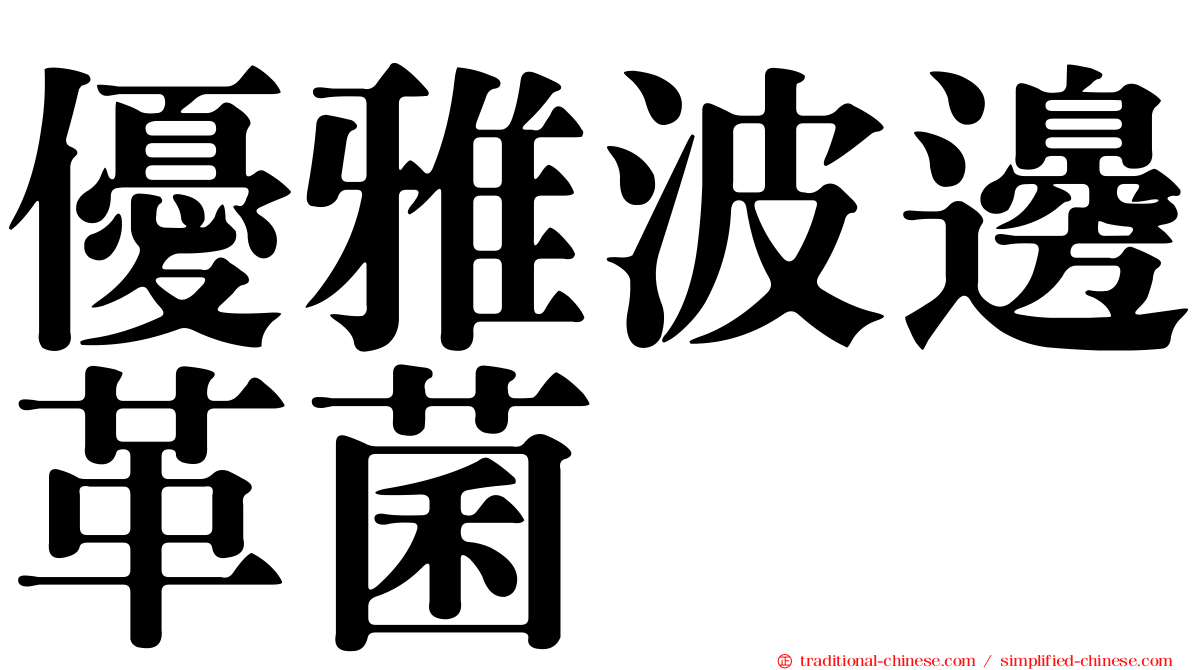 優雅波邊革菌
