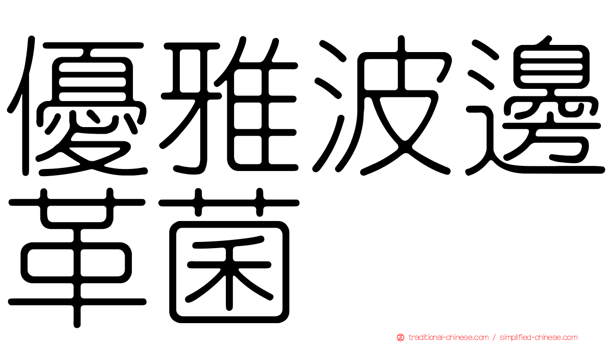 優雅波邊革菌