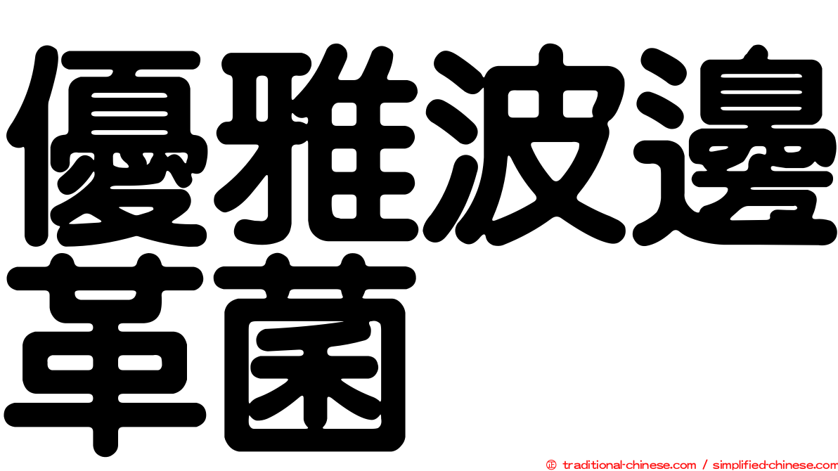 優雅波邊革菌