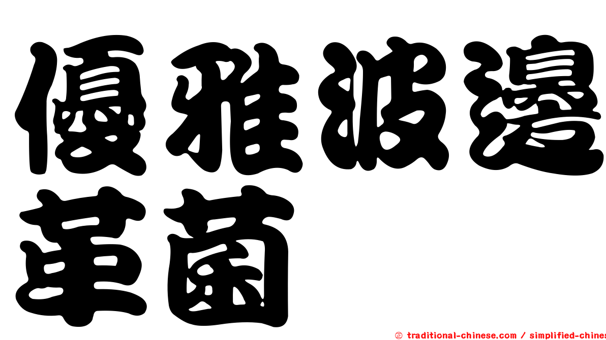 優雅波邊革菌