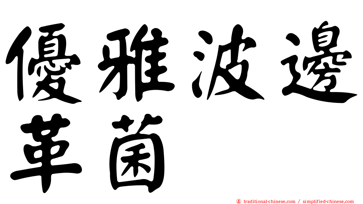 優雅波邊革菌