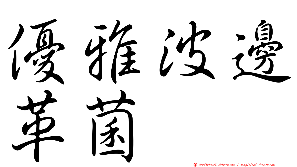 優雅波邊革菌