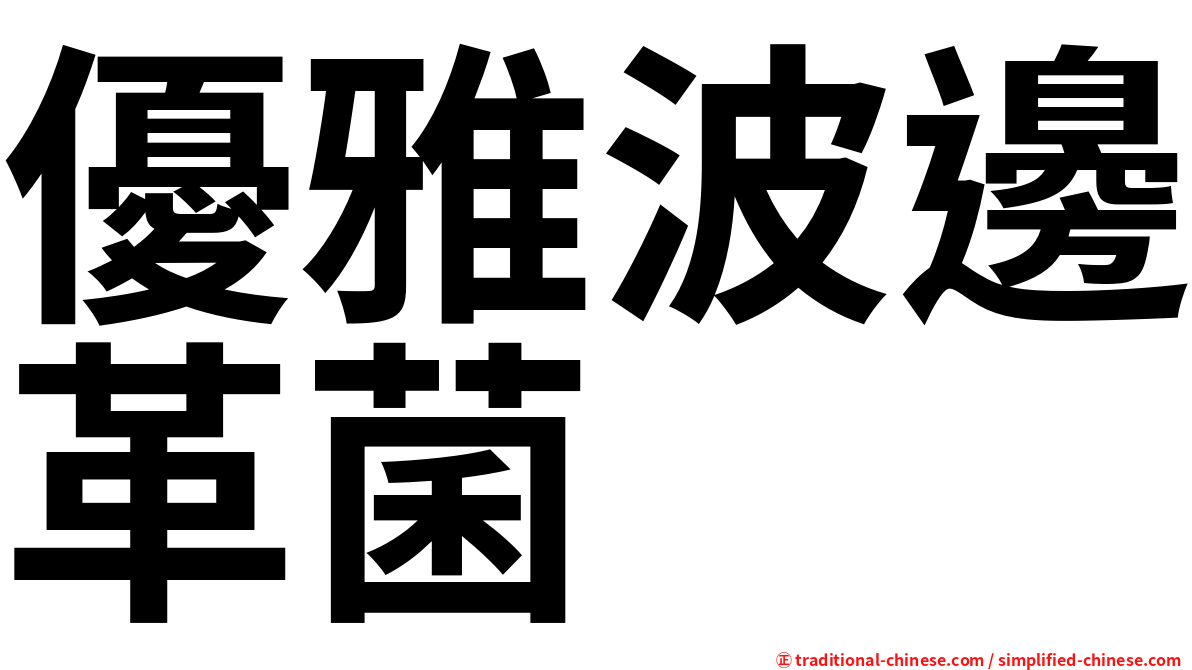 優雅波邊革菌