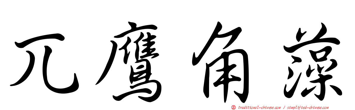 兀鷹角藻