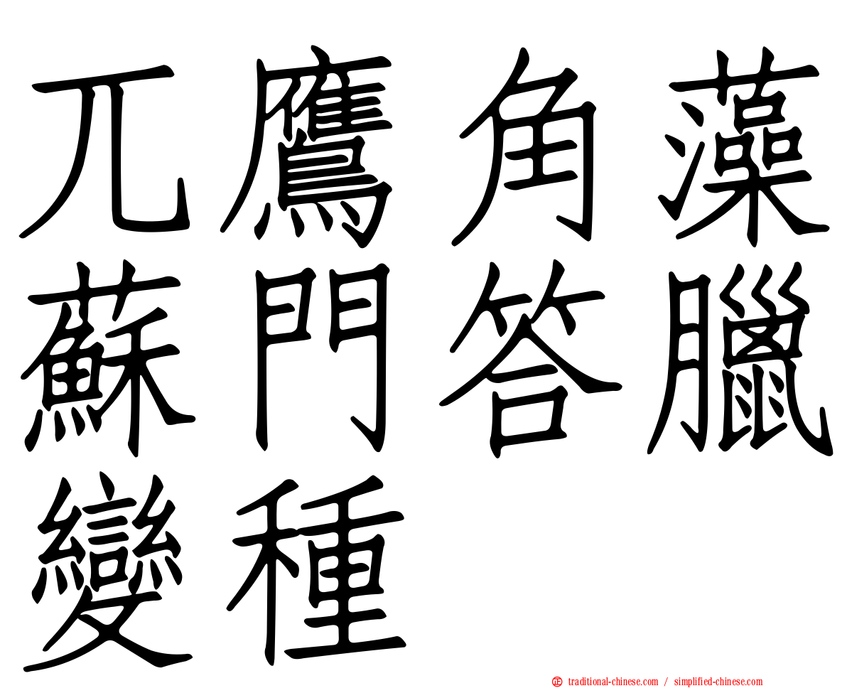 兀鷹角藻蘇門答臘變種