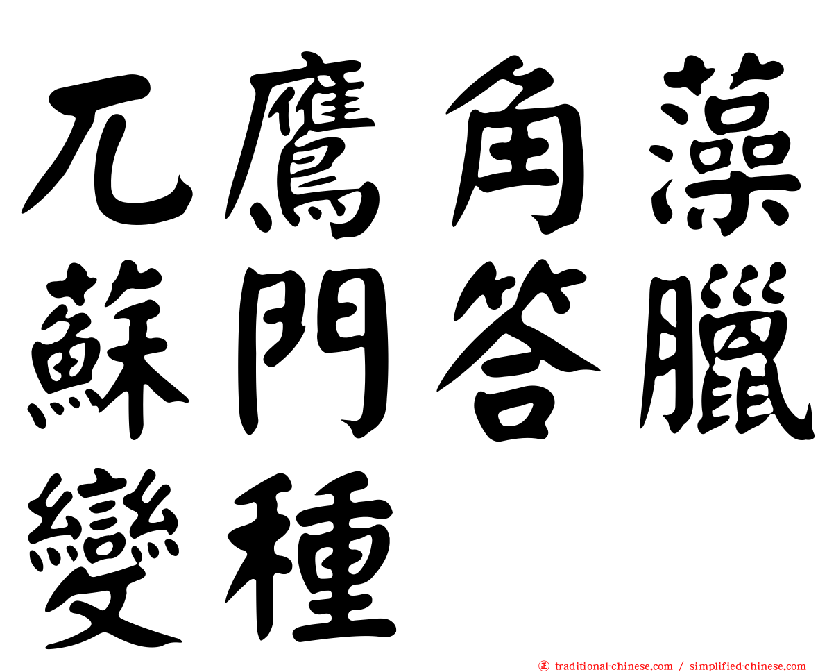 兀鷹角藻蘇門答臘變種