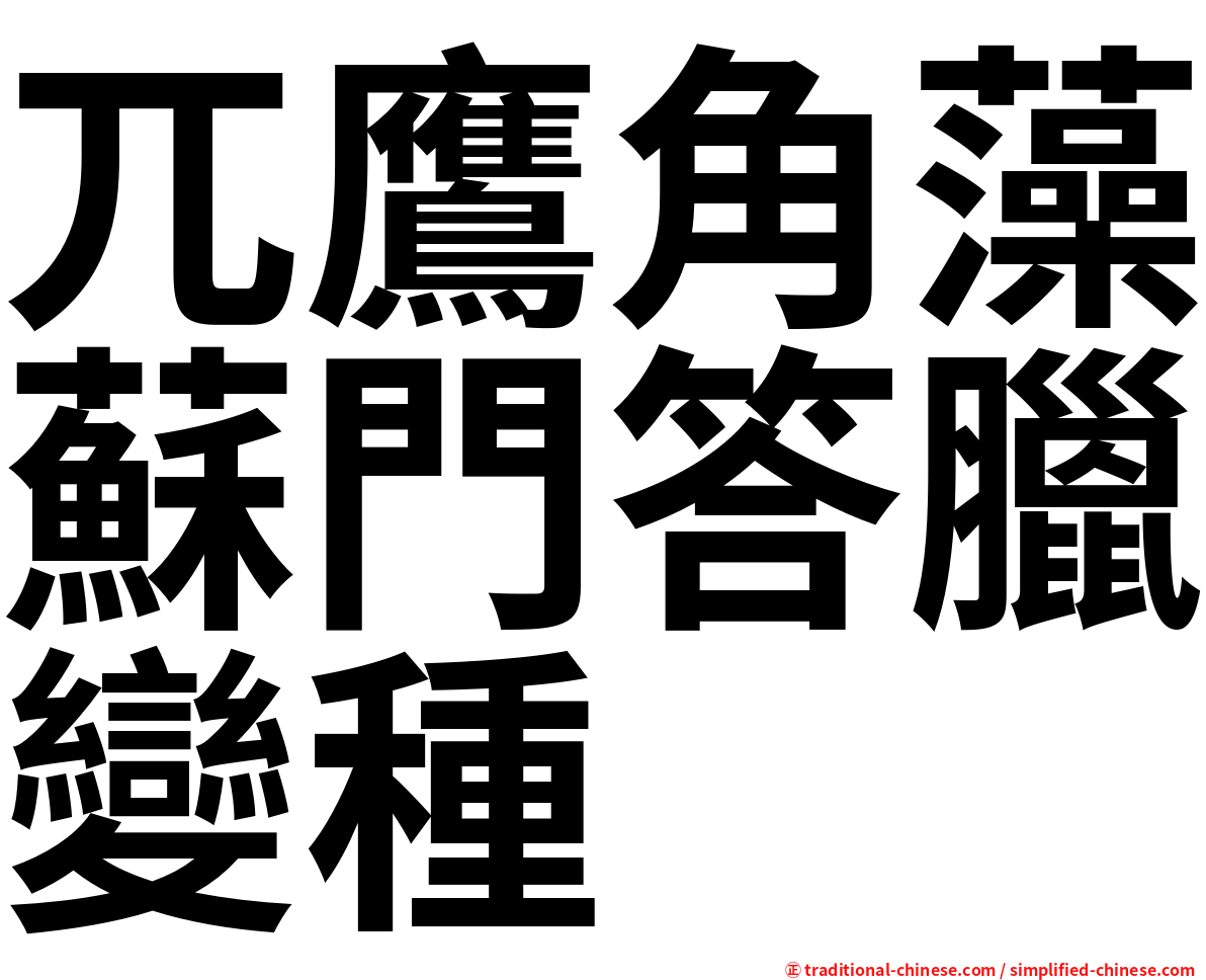 兀鷹角藻蘇門答臘變種