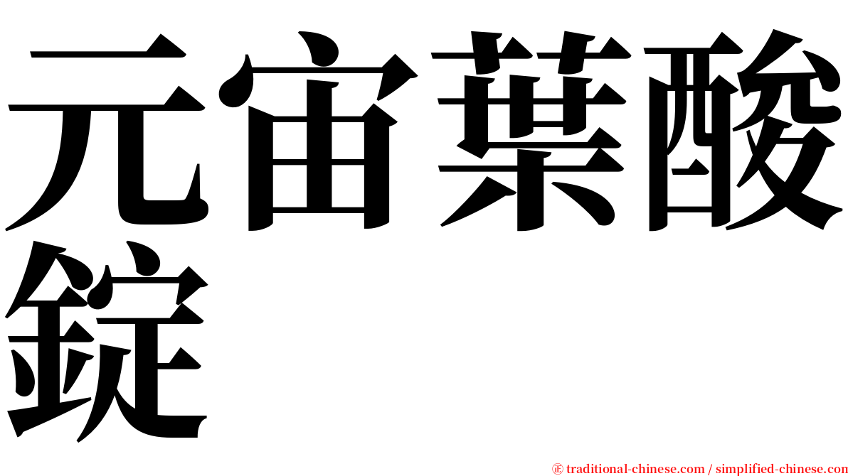 元宙葉酸錠 serif font