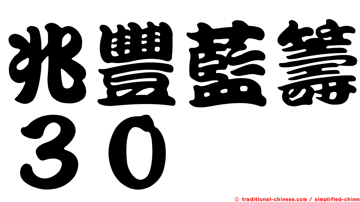 兆豐藍籌３０