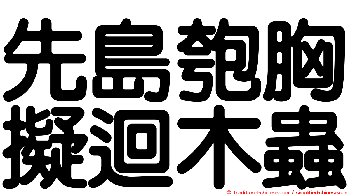 先島匏胸擬迴木蟲