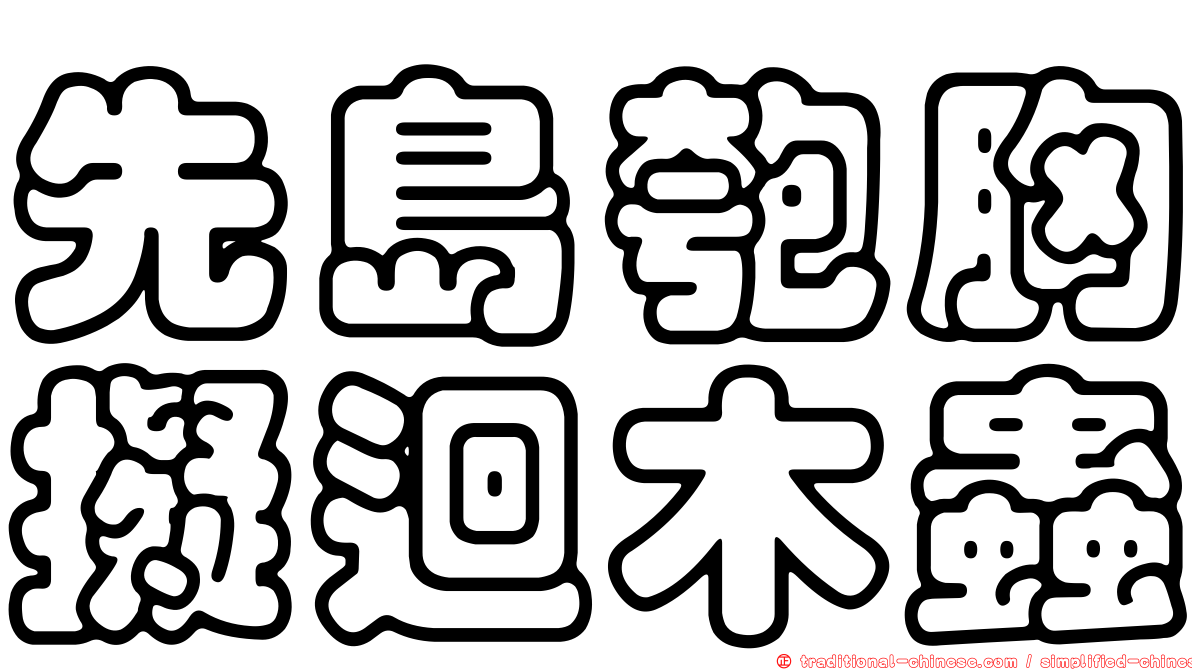 先島匏胸擬迴木蟲