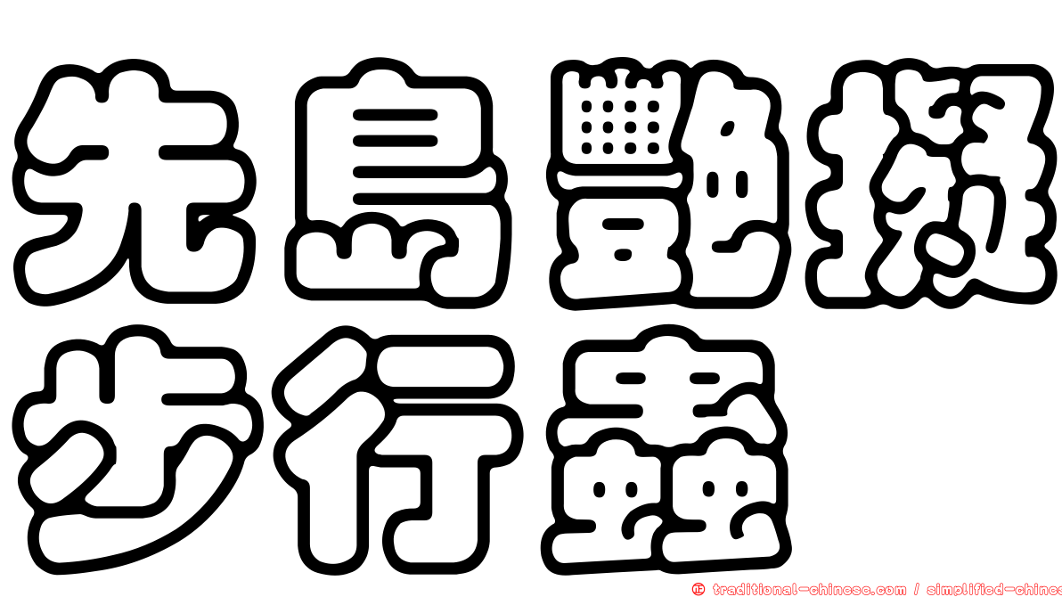 先島艷擬步行蟲