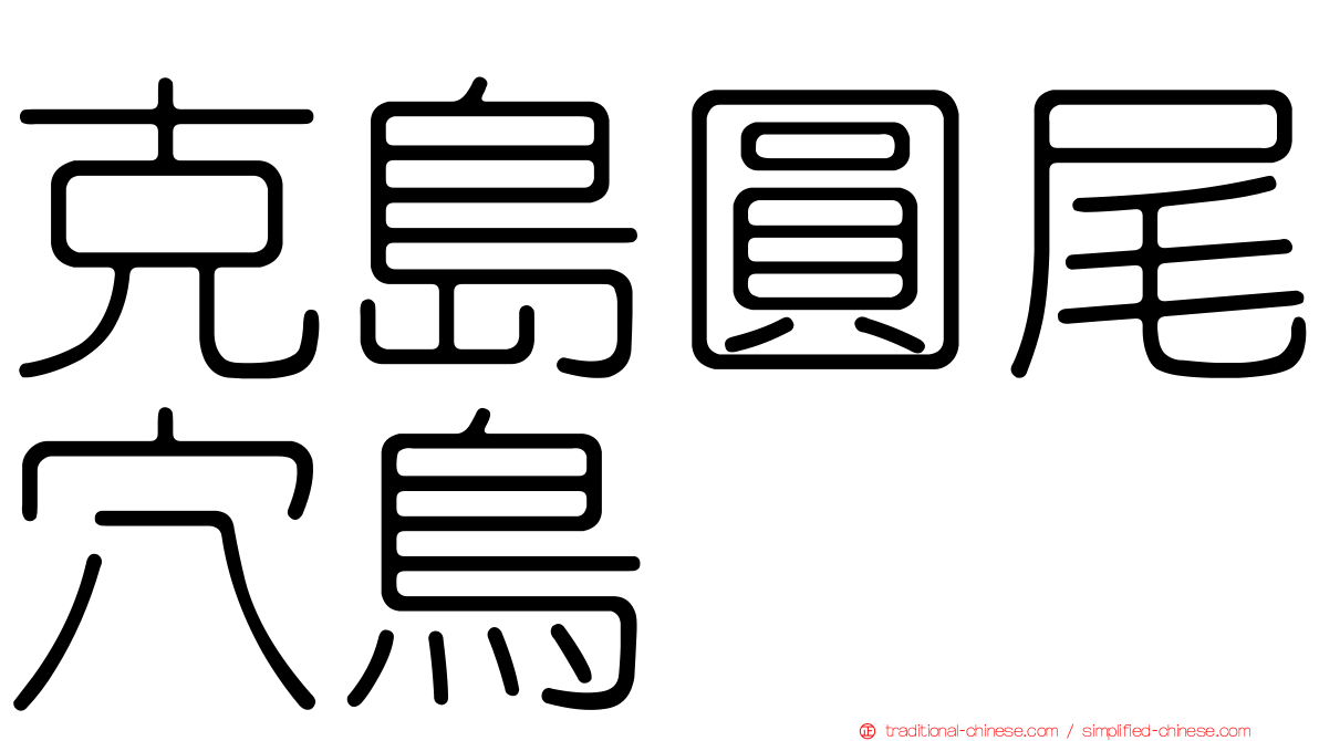 克島圓尾穴鳥
