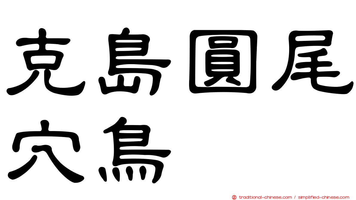 克島圓尾穴鳥