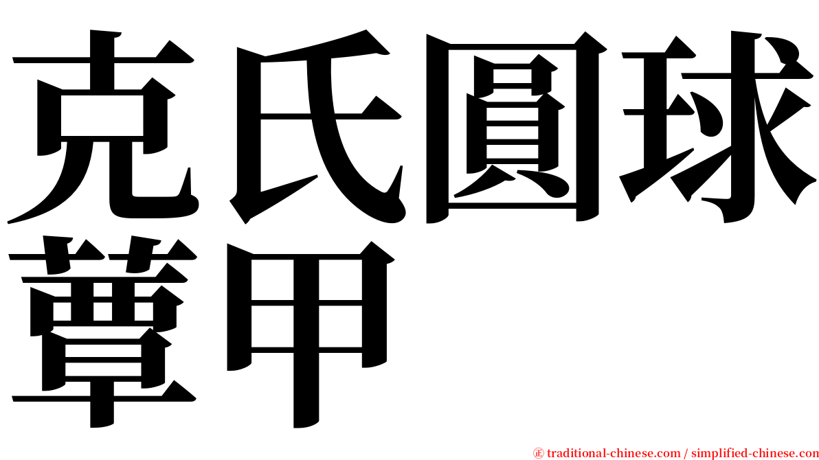 克氏圓球蕈甲 serif font