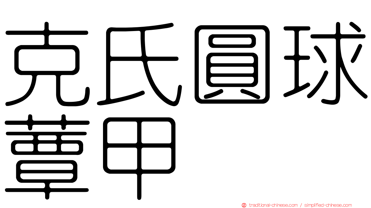 克氏圓球蕈甲