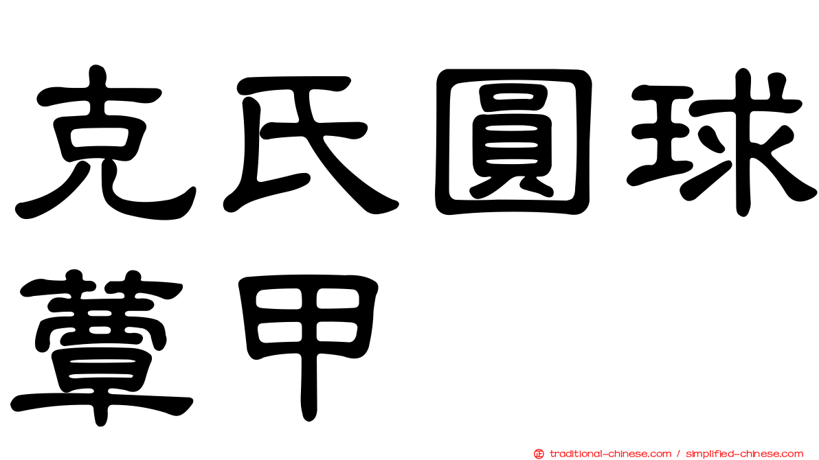 克氏圓球蕈甲
