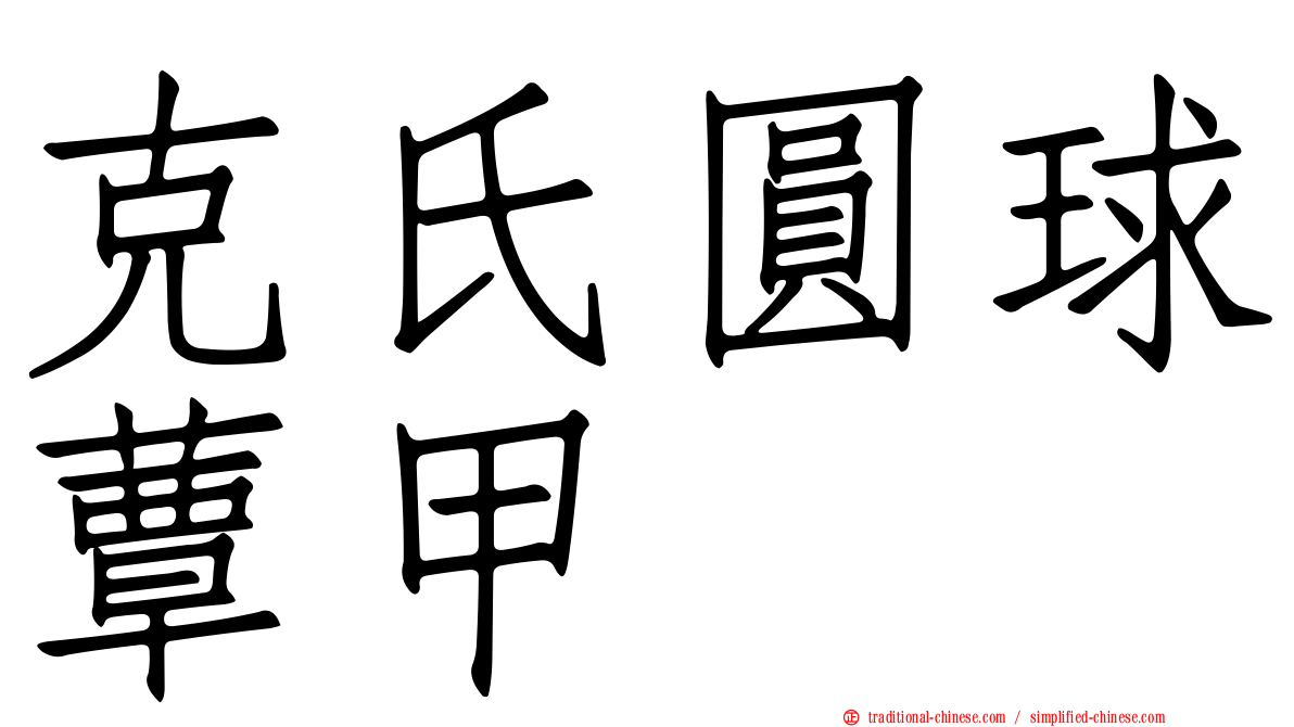 克氏圓球蕈甲