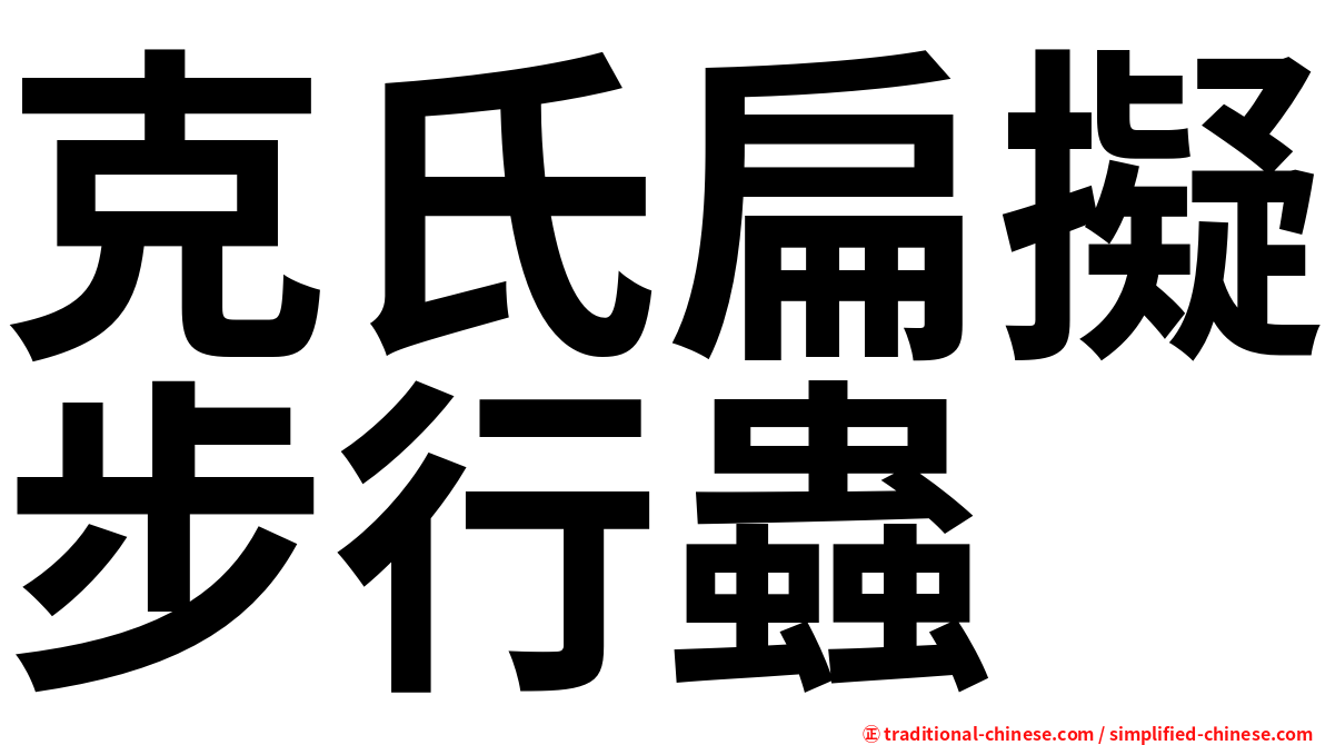 克氏扁擬步行蟲