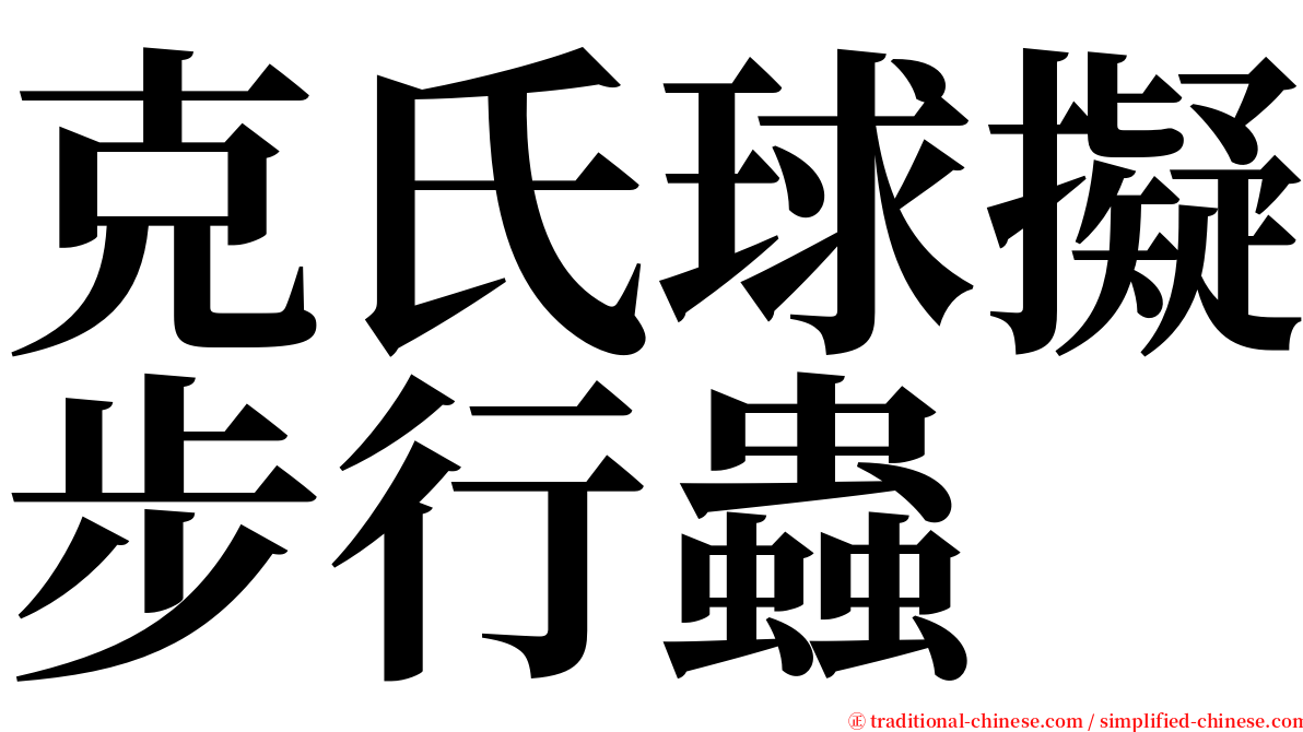 克氏球擬步行蟲 serif font