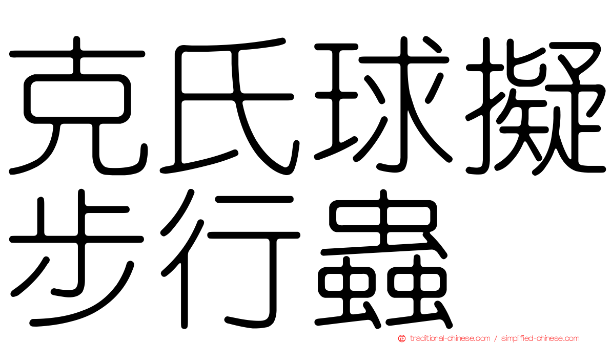 克氏球擬步行蟲