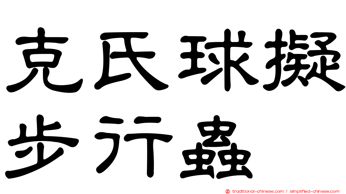 克氏球擬步行蟲