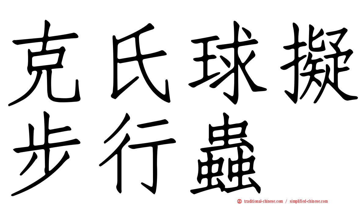 克氏球擬步行蟲