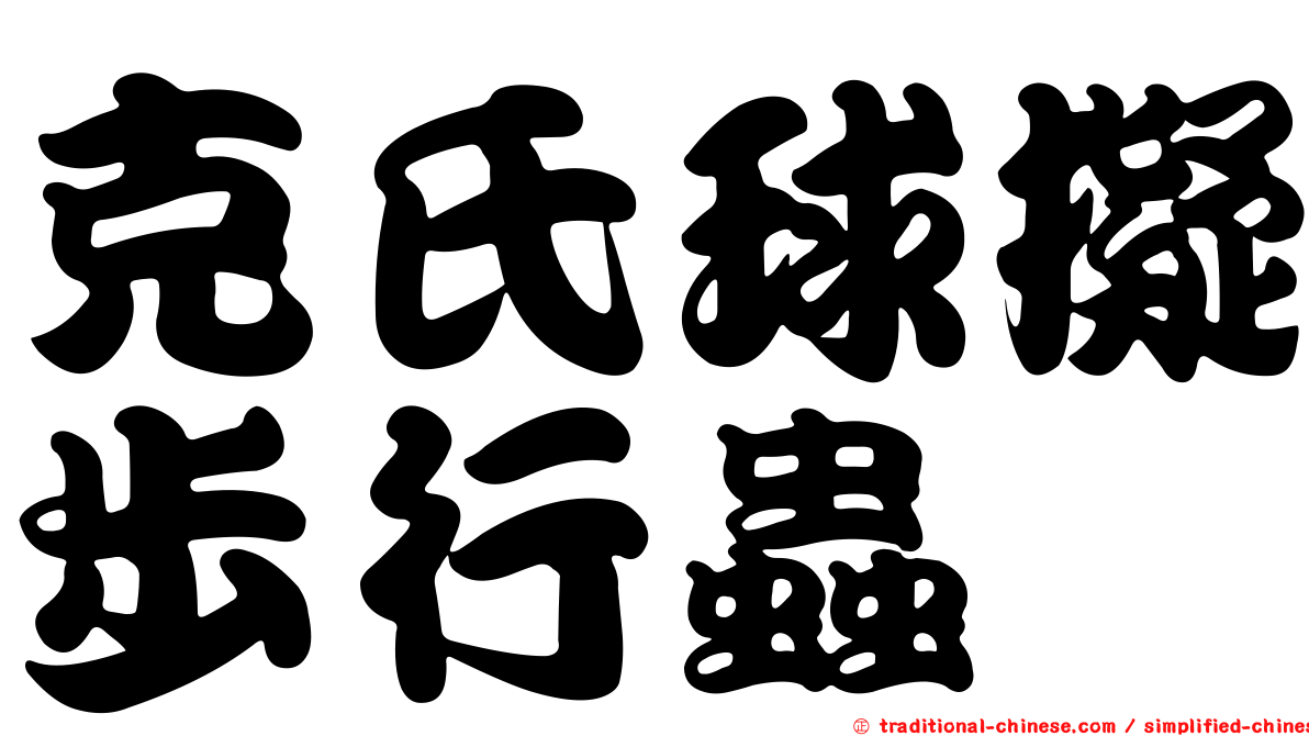 克氏球擬步行蟲