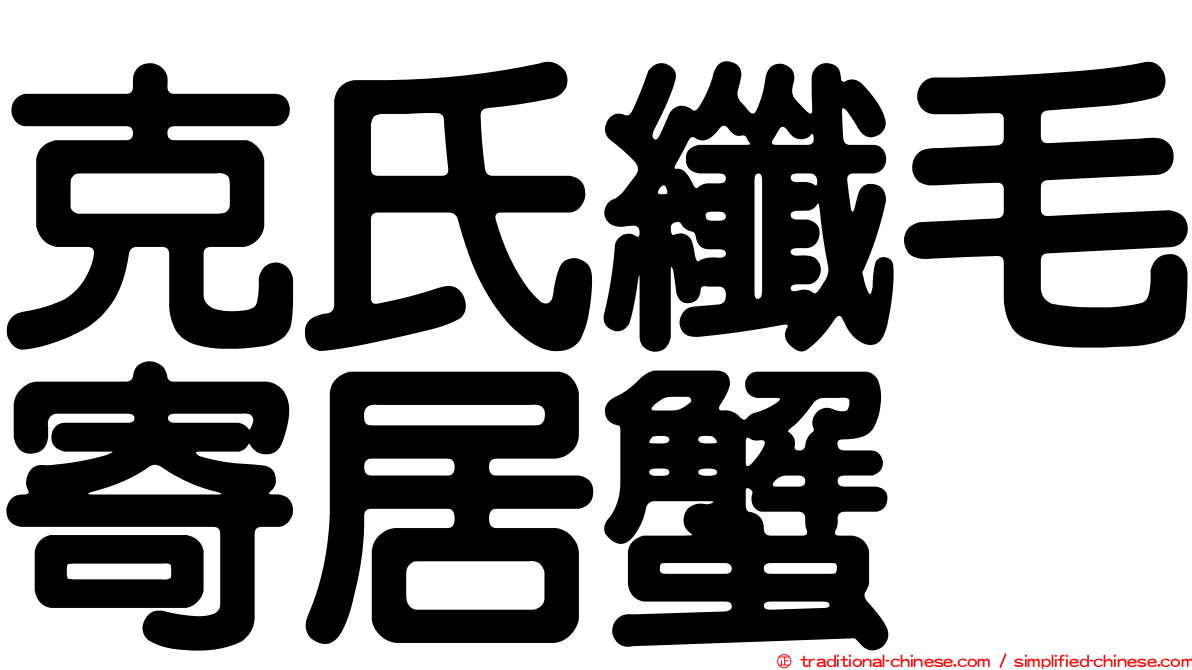 克氏纖毛寄居蟹