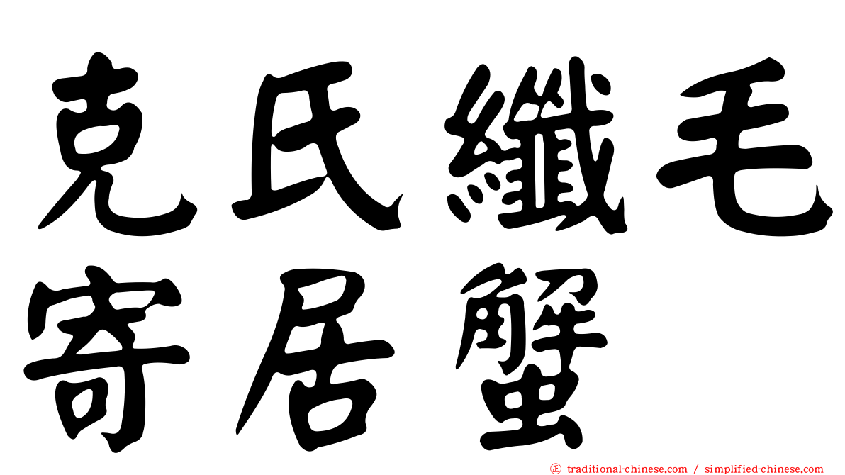克氏纖毛寄居蟹