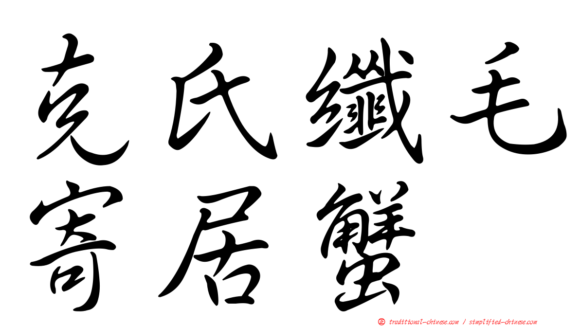 克氏纖毛寄居蟹