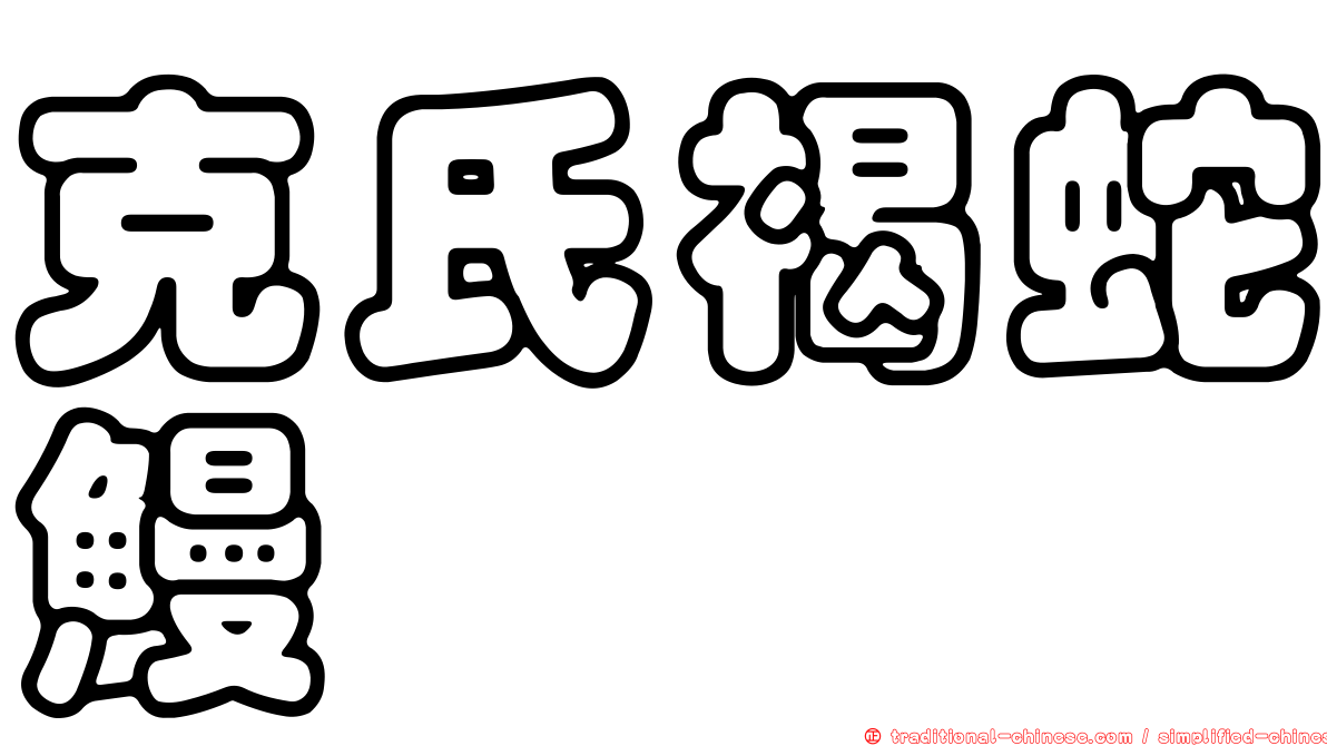 克氏褐蛇鰻