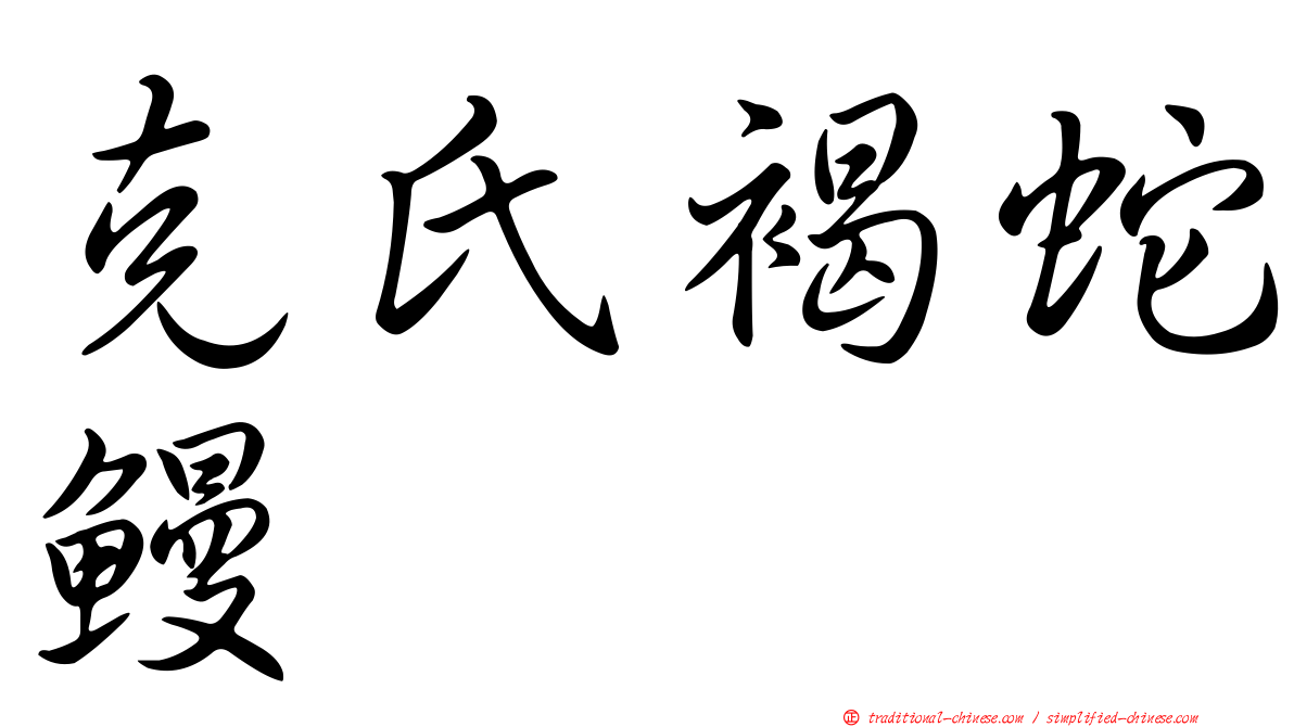 克氏褐蛇鰻