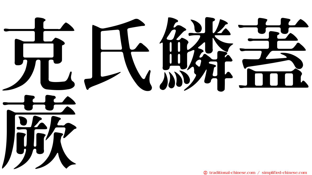 克氏鱗蓋蕨